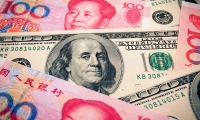 开发科技：2025年一季度净利润2